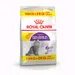 10 kg + 2 kg gratis!  Royal Canin droogvoer voor katten 12 kg