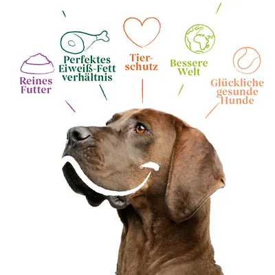 Reines Futter, perfektes Eiweiss-Fett-Verhältnis, Tierschutz, bessere Welt, glückliche gesunde Hunde. Hund mit grafischen Symbolen und Text.