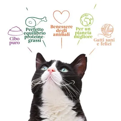 Cibo puro, Perfetto equilibrio proteine-grassi, Benessere degli animali, Per un pianeta migliore, Gatti sani e felici (testo visibile sopra un gatto bianco e nero)