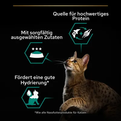 Quelle für hochwertiges Protein, mit sorgfältig ausgewählten Zutaten, fördert eine gute Hydrierung. Hinweis: Wie alle Nassfutterprodukte für Katzen.