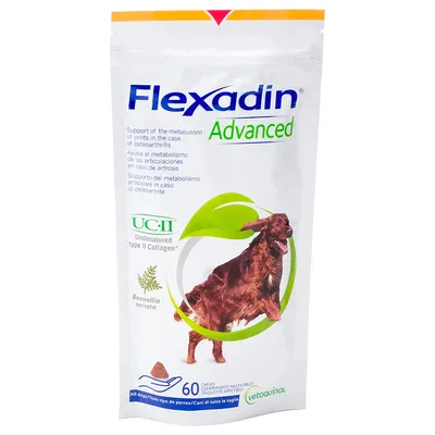 Flexadin Advanced Dog