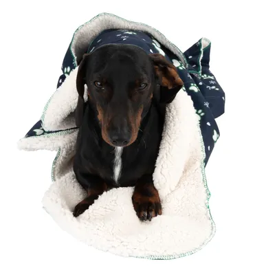 Hund liegt in einer dunkelblauen Decke mit weißen Pfotenabdrücken und weichem, hellem Innenfutter.