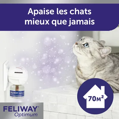Texte : Apaise les chats mieux que jamais. Feliway Optimum, diffuseur mural visible, logo maison 70 m². Marque et informations en français belge.