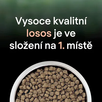 Vysoko kvalitní losos je ve složení na 1. místě – text na obrázku nad miskou s granulemi.