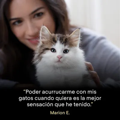 Purina Pro Plan LiveClear Kitten pavo