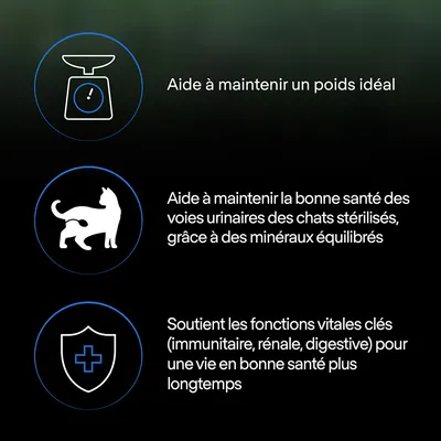 Aide à maintenir un poids idéal. Aide à maintenir la bonne santé des voies urinaires des chats stérilisés grâce à des minéraux équilibrés. Soutient les fonctions vitales clés.