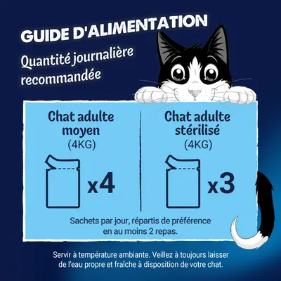 Recommandation d'alimentation : 4 sachets par jour pour les chats adultes (4, kg), 3 sachets pour les chats stérilisés (4, kg), répartis sur au moins 2 repas. Recommandation d'alimentation : 4 sachets par jour pour les chats adultes (4, kg), 3 sachets pour les chats stérilisés (4, kg), répartis sur au moins 2 repas.