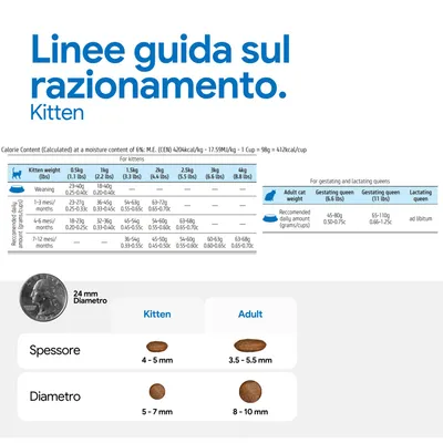 Tabella di alimentazione per kitten e gatti adulti con le quantità giornaliere raccomandate in base al peso, oltre al confronto delle dimensioni delle crocchette: kitten 5-7 mm, adulti 8-10 mm di diametro. Tabella di alimentazione per kitten e gatti adulti con le quantità giornaliere raccomandate in base al peso, oltre al confronto delle dimensioni delle crocchette: kitten 5-7 mm, adulti 8-10 mm di diametro.
