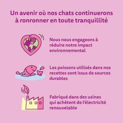 Un avenir où nos chats continuerons à ronronner en toute tranquillité. Nous nous engageons à réduire notre impact environnemental. Poissons issus de sources durables. Électricité renouvelable.
