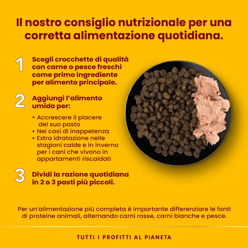 Almo Nature HFC 6 x 95 g Alimento umido per cani
