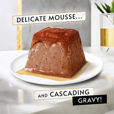 Delicate mousse and cascading gravy, shown as text on image of pet food block with gravy on white plate.
