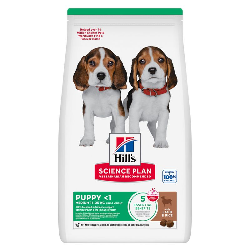 Hill's Science Plan Puppy <1 Medium, jagnięcina z ryżem