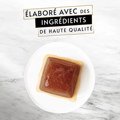 Texte : « Élaboré avec des ingrédients de haute qualité ». Pâtée carrée en sauce présentée dans une assiette blanche sur fond marbré clair.