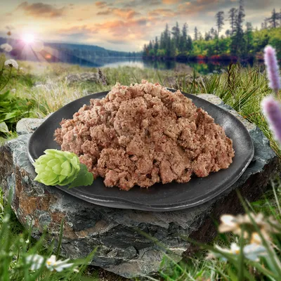 Pâtée pour animaux servie sur une assiette noire, posée sur une pierre en extérieur avec un décor de nature en arrière-plan. Aucun emballage ou marque visible.