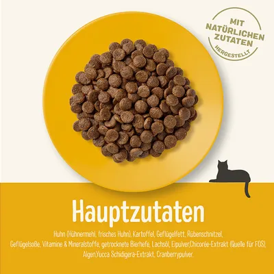 Сухой корм для кошек на жёлтой тарелке. Видны надписи: Hauptzutaten, Mit natürlichen Zutaten hergestellt. Список ингредиентов на немецком языке.