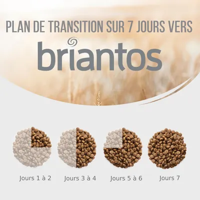 Plan de transition sur 7 jours vers briantos, schéma montrant la proportion croissante de croquettes briantos de Jours 1 à 2 jusqu’à Jour 7. Texte : Jours 1 à 2, 3 à 4, 5 à 6, 7.