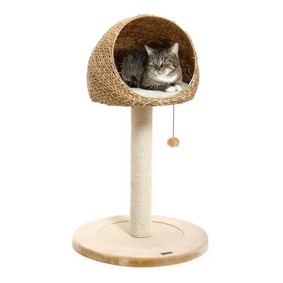 Karlie Kratzbaum Banana-Leaf Little Hole