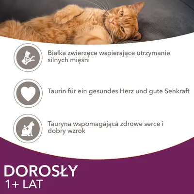 Białka zwierzęce wspierające utrzymanie silnych mięśni, tauryna wspomagająca zdrowe serce i dobry wzrok. DOROSŁY 1+ LAT. Tekst także po niemiecku: Taurin für ein gesundes Herz und gute Sehkraft.