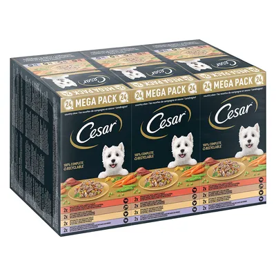 Упаковка Cesar MEGA PACK 24, изображены миски с кормом, морковь, горох, надписи: 100% COMPLETE, RECYCLABLE, таблица с вариантами вкусов по 2 штуки каждого.
