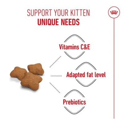 Dry food pieces with the following notes: Vitamins C&E, adapted fat level, prebiotics. Text: Support your kitten's unique needs.
