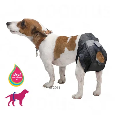 Dog wearing a black disposable nappy, with icons showing 'dry! super absorbent gel' and illustration of nappy placement on pet. Demonstrates product use and key feature.
