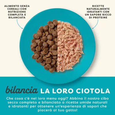 Applaws Adult in lattina Pacco misto 12 x 70 g