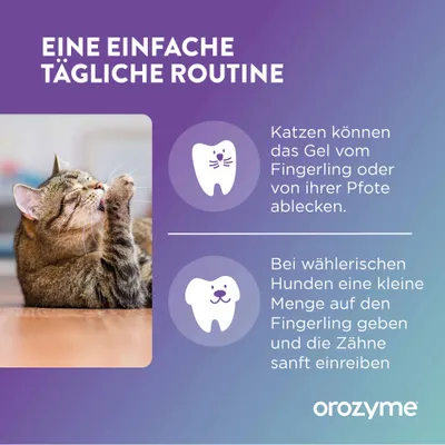 Eine einfache tägliche Routine: Katzen können das Gel vom Fingerling oder von ihrer Pfote ablecken. Bei wählerischen Hunden eine kleine Menge auf den Fingerling geben und die Zähne sanft einreiben. orozzyme.