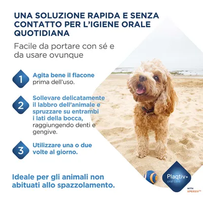 Istruzioni per l'uso di una soluzione orale per l'igiene: agitare il flacone, sollevare il labbro dell'animale e spruzzare su entrambi i lati della bocca, applicare una o due volte quotidianamente. Per animali senza abitudine alla pulizia. Istruzioni per l'uso di una soluzione orale per l'igiene: agitare il flacone, sollevare il labbro dell'animale e spruzzare su entrambi i lati della bocca, applicare una o due volte quotidianamente. Per animali senza abitudine alla pulizia.