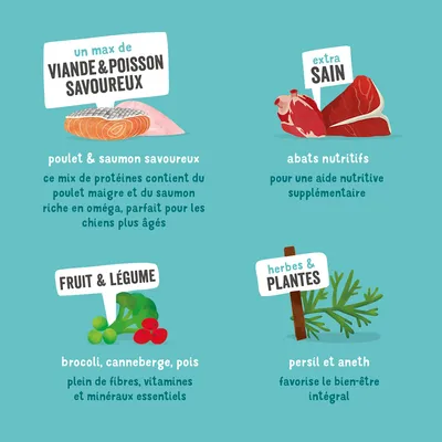 Texte visible : un max de viande & poisson savoureux, extra sain, fruit & légume, herbes & plantes. Poulet, saumon, abats, brocoli, canneberge, pois, persil, aneth. Descriptions nutritionnelles incluses.