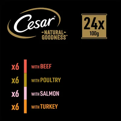 Cesar Natural Goodness 24x100g: 6 with beef, 6 with poultry, 6 with salmon, 6 with turkey. Testo in inglese.