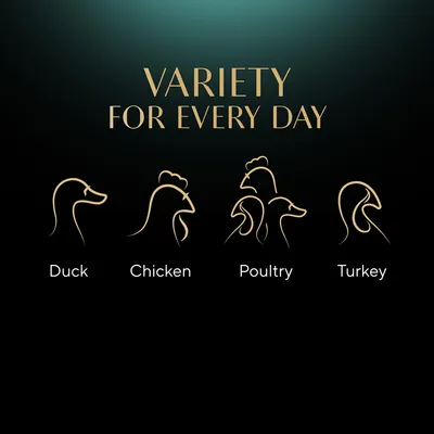 VARIETY FOR EVERY DAY. Duck, Chicken, Poultry, Turkey feliratok arany sziluettekkel. Az angol szöveg a képen szerepel, magyar fordítás nincs.
