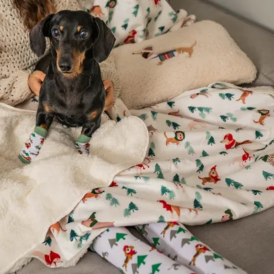 Tax med julstrumpor sitter på en filt med hundmotiv och granar, bredvid en kudde med broderad hund.