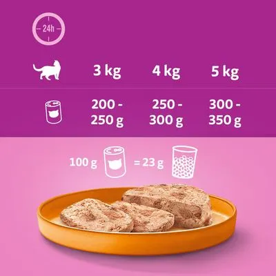Voedingsadvies kat: 3 kg 200–250 g, 4 kg 250–300 g, 5 kg 300–350 g natvoer per dag. 100 g natvoer = 23 g droogvoer. Afbeelding van voer op een oranje bord.