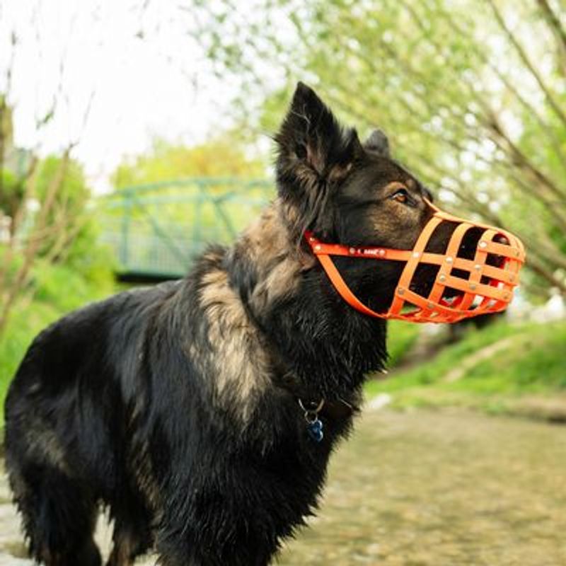COLORI® Herder muilkorf L, zwart