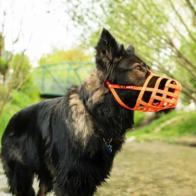 COLORI® Herder muilkorf L, zwart