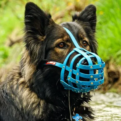 COLORI® Herder muilkorf L, zwart