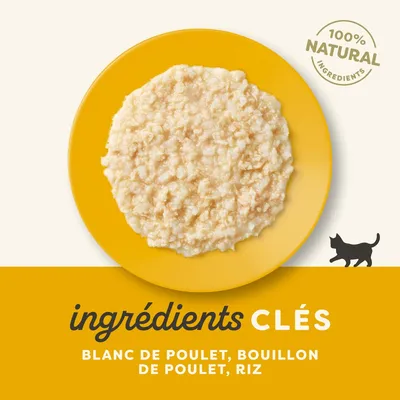 Lot économique Applaws Natural Kitten au bouillon 48 x 50 g