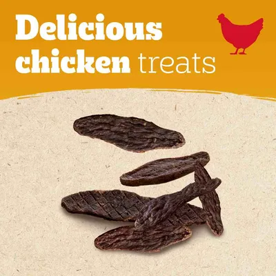 Tekst na obrazku: Delicious chicken treats. Widoczne suszone przysmaki z kurczaka, kilka kawałków na jasnym tle, w prawym górnym rogu sylwetka kury.