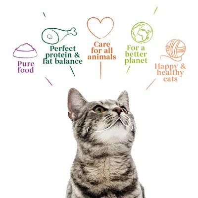 Pure food, perfect protein and fat balance, care for all animals, for a better planet, happy and healthy cats. Text with icons above a cat.