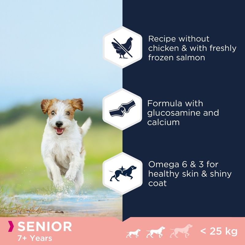 Eukanuba Senior Small & Medium Breed Grain Free mořská ryba