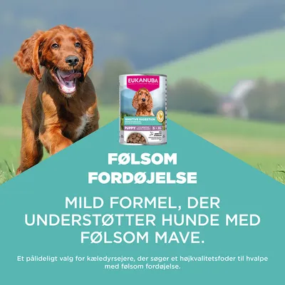 Eukanuba Sensitive Digestion Puppy S-XL. Mild formel, der støtter hunde med følsom mave. Til kæledyrsejere, der søger kvalitetsfoder til hvalpe med sensitiv fordøjelse.