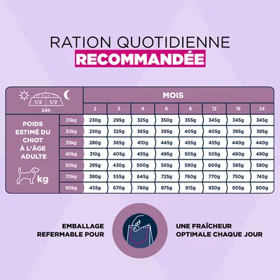 Eukanuba Premium Nutrition Puppy Large et Giant Breed agneau et riz