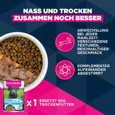 Eukanuba Premium Nutrition Senior Small Breed piščanec