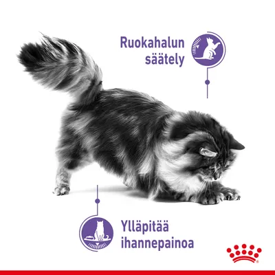Kissa ja kaksi tekstiä: 'Ruokahalun säätely' sekä 'Ylläpitää ihannepainoa'. Alakulmassa punainen kruunun muotoinen kuvio.