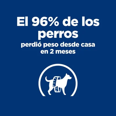 El 96 % de los perros perdió peso desde casa en 2 meses. Imagen de perro con cinta métrica alrededor del cuerpo.