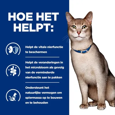 HOE HET HELPT: Helpt de vitale nierfunctie te beschermen. Helpt de veranderingen in het microbioom als gevolg van de verminderde nierfunctie aan te pakken. Ondersteunt het natuurlijke vermogen om spiermassa op te bouwen en te behouden.