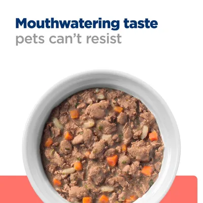 Bowl of chunky wet food with visible vegetables and the text 'Mouthwatering taste pets can’t resist' above it.