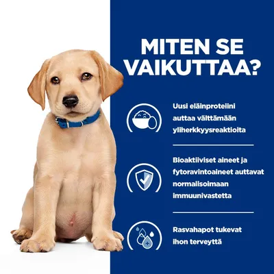 Teksti: Miten se vaikuttaa? Uusi eläinproteiini auttaa välttämään yliherkkyysreaktioita. Bioaktiiviset aineet ja fytoravintoaineet auttavat normalisoimaan immuunivastetta. Rasvahapot tukevat ihon terveyttä.