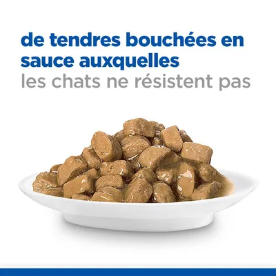 Texte visible : de tendres bouchées en sauce auxquelles les chats ne résistent pas, avec une assiette de morceaux de nourriture humide pour chat en sauce.