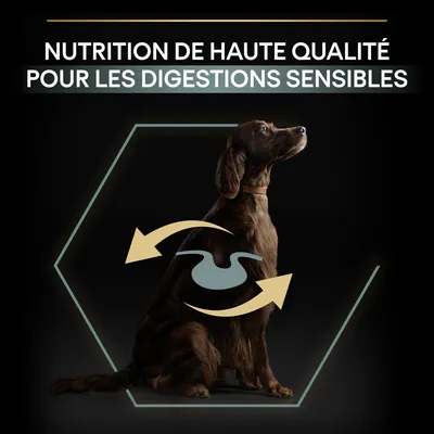 NUTRITION DE HAUTE QUALITÉ POUR LES DIGESTIONS SENSIBLES, texte visible au-dessus d’un chien avec un pictogramme de digestion sur le corps.